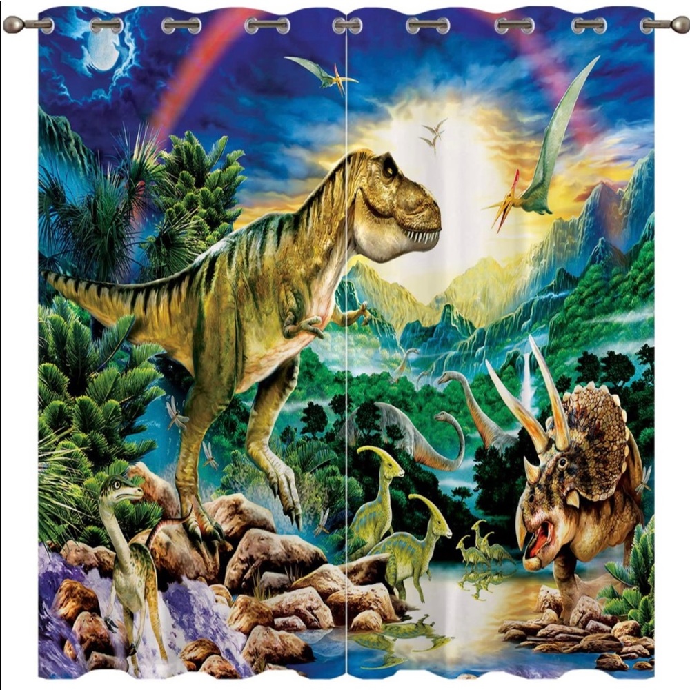 New dinosaur curtains